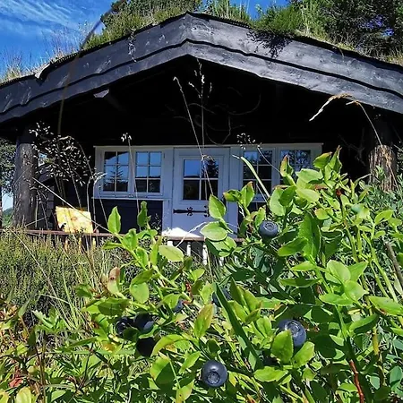Norwegian Mountain Cabin Alone In The Wild Casa vacanze
